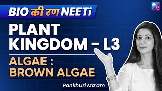 NCERT NEET Biology  Plant Kingdom L3  Algae Brown Algae  NEET 2023  Dr Pankhuri Miglani [upl. by Osrit222]