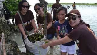 2013 Arbor Day Awards—Promise to the Earth Award UPS [upl. by Einaej569]