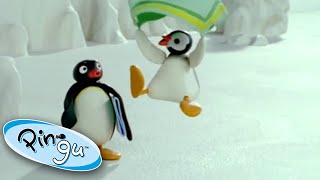 Pingu And Pinga Experience A Windy Day💨Pingu Cartoons For Kids [upl. by Newcomb]