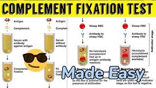 Complement Fixation Test Made Easy😎😎immunology [upl. by Rengaw999]