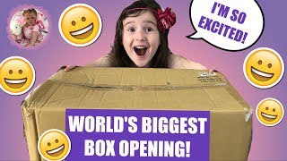 WORLD RECORD BIGGEST REBORN BOX OPENING EVER HOW MANY BABIES ARE THERE [upl. by Gwenneth506]