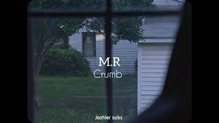 MR  Crumb  sub español  lyrics [upl. by Nuawad]