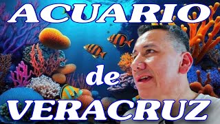 VISITAMOS EL ACUARIO DE VERACRUZ [upl. by Nelleus]