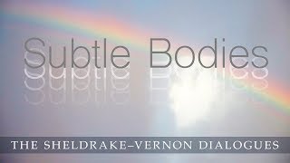 Subtle Bodies Sheldrake Vernon Dialogue 44 [upl. by Howenstein]