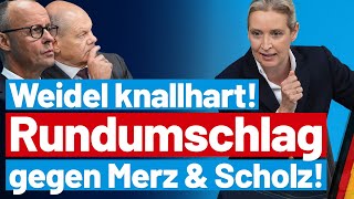 Merz stinksauer Alice Weidel rechnet knallhart mit der CDU ab  AfDFraktion im Bundestag [upl. by Etnad]