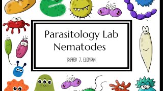 Parasitology Lab  Nematodes [upl. by Pate]