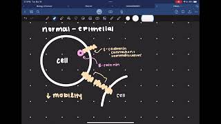 Metastasis Pt 1  Cell Detachment [upl. by Rebhun]