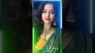 tui to amar heroine 🌹Purulia new song🌹kundan kumar [upl. by Nonnahsal]