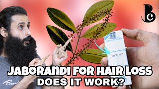 Jaborandi  A Natural Treatment For Hair Loss Balding amp Hair Growth  Bearded Chorka [upl. by Yojal]