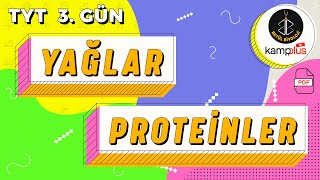 3 Yağlar ve Proteinler Konu Anlatımı  9 Sınıf Biyoloji  YKS 2023  TYT Biyoloji Kampı 3 Gün [upl. by Tarra445]