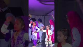 Queanbeyan QPRC Diwali glimpse shorts video diwali 2024 [upl. by Pittel708]