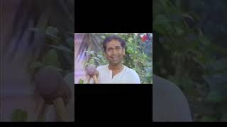 Jandhyala  Brahmanandam Funny Comedy Scenes  Telugu Movie Scene  GangothriMovies [upl. by Fiester]