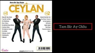 Ceylan  Tam Bir Ay Oldu  2014 [upl. by Ycnej222]