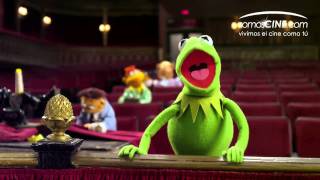 Top 10 Muppets from Sesame Street [upl. by Aoh67]