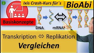 Vergleich DNAReplikation und Transkription mithilfe der Basiskonzepte der Biologie viel einfacher [upl. by Kumar]