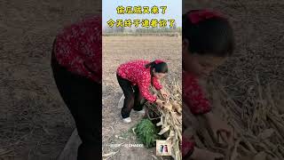 Funny Muddy Video Millions Of Views Of Rural Family😜Your Happiness Is My Happiness💖 243 [upl. by Hilary]