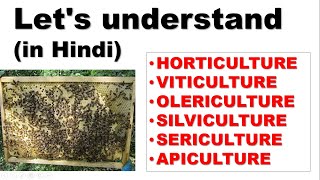 Difference bw HORTICULTURE VITICULTURE OLERICULTURE SILVICULTURE SERICULTURE amp APICULTURE [upl. by Wilhelmina]