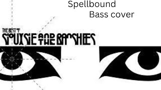 Siouxsie and the banshees  Spellbound bass cover [upl. by Warrick628]