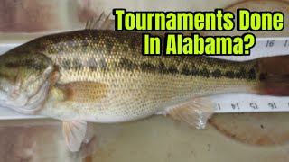 Proposed Alabama Law Poised To End Bass Tournaments In The State… [upl. by Havot17]