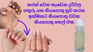 නරක් වෙන කැඩෙන නියපොතු සුව කරන ලස්සනට නියපොතු වවන තෙල් සත්කාරයනියපොතු සත්කාරNail care sinhalaasmr [upl. by Urson]