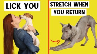 15 Weird Dog Behaviors Explained 🔥 [upl. by Esom244]