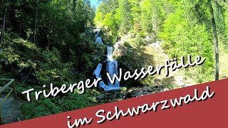 Besuch der Triberger Wasserfälle  die größte Kuckkuchsuhr der Welt  Topziele im Schwarzwald [upl. by Virgilio706]