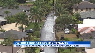 Maui housing advocates sound off on landlords suspected of violating emergency order [upl. by Samal]