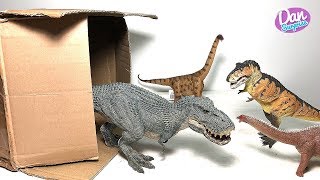 A New Box of Dinosaur Figures Tyrannosaurus Rex Brontosaurus Argentinosaurus [upl. by Willtrude]