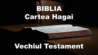 HAGAI  Biblia Audio  Vechiul Testament [upl. by Lepper38]