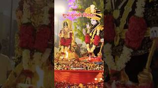 contentcreator tulsivivah saligrama maalaxmi devuthaniekadashi diwalispecial bhopal [upl. by Yasdnil]