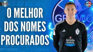 🔵⚫️ Grêmio Marchesín e o estilo pirotécnico de defender  Rápido e malandro  Veja como joga [upl. by Iznik579]