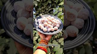 winter special amla candy 🍭  आमला कैंडी रेसिपी  shorts amlacandy [upl. by Engel]