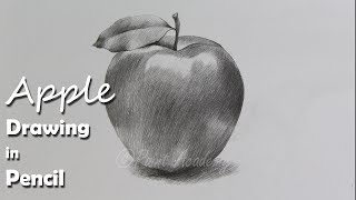 How to Draw An Apple in Pencil  step by step how to use pencil strokes  Artist  Supriyo [upl. by Kecaj]