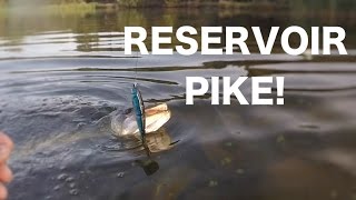 Reservoir Pike fishing Vlog [upl. by Nnylyram]