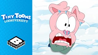 Sweetie amp Hamton Get Stuck In The Cold  Tiny Toons Looniversity  BoomerangUK [upl. by Brechtel727]