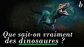 Que saiton vraiment des dinosaures [upl. by Eisnyl]