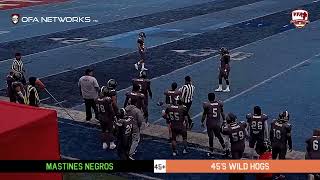 VFA Gold Bowl 2024 Sem 5 Mastines Negros vs 45s Wild Hogs [upl. by Karla250]