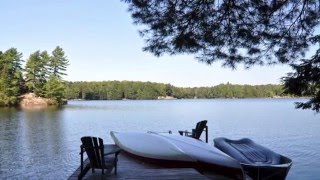 Muskoka Cottage for Rent 356 on Bigwind Lake near Bracebridge Ontario [upl. by Anec]