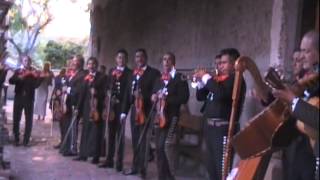 LA BAMBA  MARIACHI ZACATECAS de FREDDIE ESPINOZA [upl. by Najtsirk41]