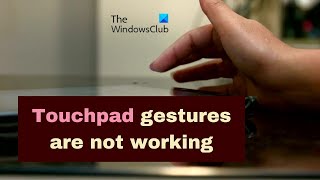 Touchpad gestures are not working on Windows 1110 [upl. by Annahael474]