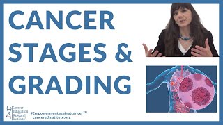 2  Grading of cancercancer stages  Cancer Education amp Research Institute [upl. by Eed330]