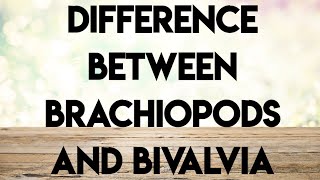 Geology palaeontologyecture series difference between brachiopods and bivalvia [upl. by Tymothy]