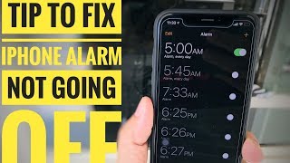 iPhone Alarm Not Working iOS 16 Fixed 2023 iPhone 13 Pro Max amp Earlier [upl. by Nyram]