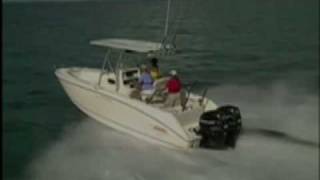 Boston Whaler 240 Outrage [upl. by Azirb]