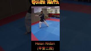 Kata Tutorial Heian Nidan karate karatekata heiannidan [upl. by Wilmar]