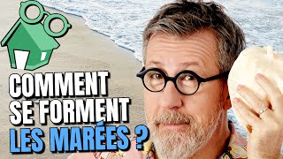 Comment se forment les marées  🌊 [upl. by Basilio]