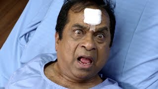 Appudappudu Movie Comedy Scenes  Back to Back  Raja  Sreya Reddy [upl. by Eninotna]