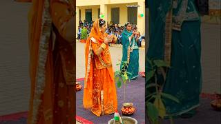 🔥Rajasthani culture 🌿Chirami Ra Dala Chyar  Chirmi Rajasthani Song shorts trending rajasthan [upl. by Spears47]