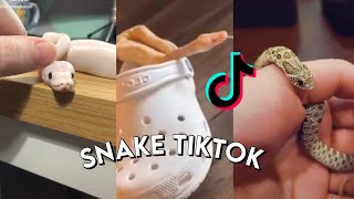 Snake Side Of TikTok [upl. by Eneleahcim561]