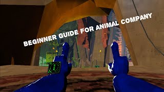 Ultimate Beginner Guide For Animal Company [upl. by Aleekat]